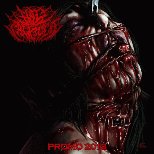 Hail Caligula : Promo 2018